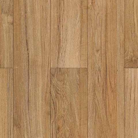 Sumatran Teak