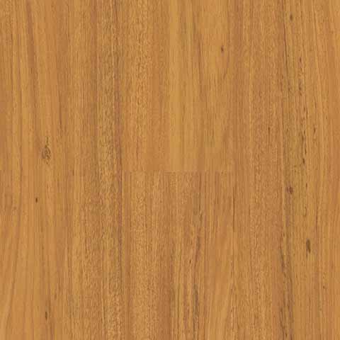 Coastal Blackbutt