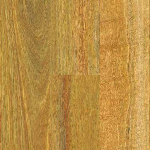 NSW Spotted Gum
