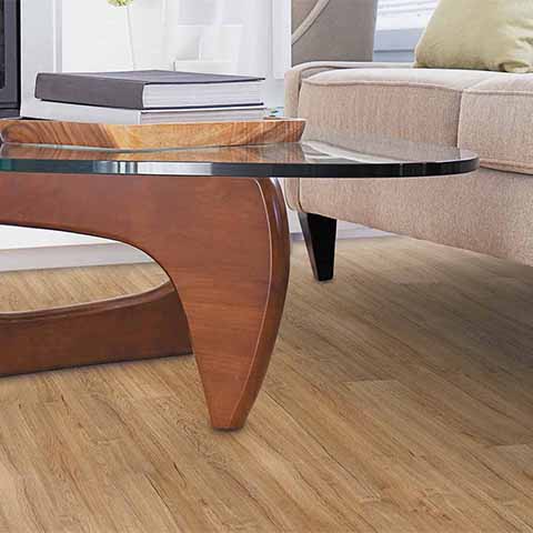 Sumatran Teak