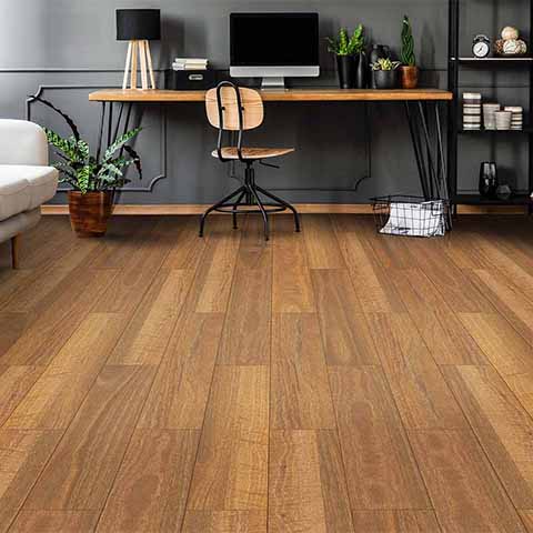 VTS530 QLD Spotted Gum