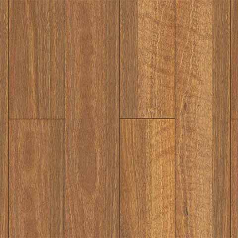 VTS530 QLD Spotted Gum