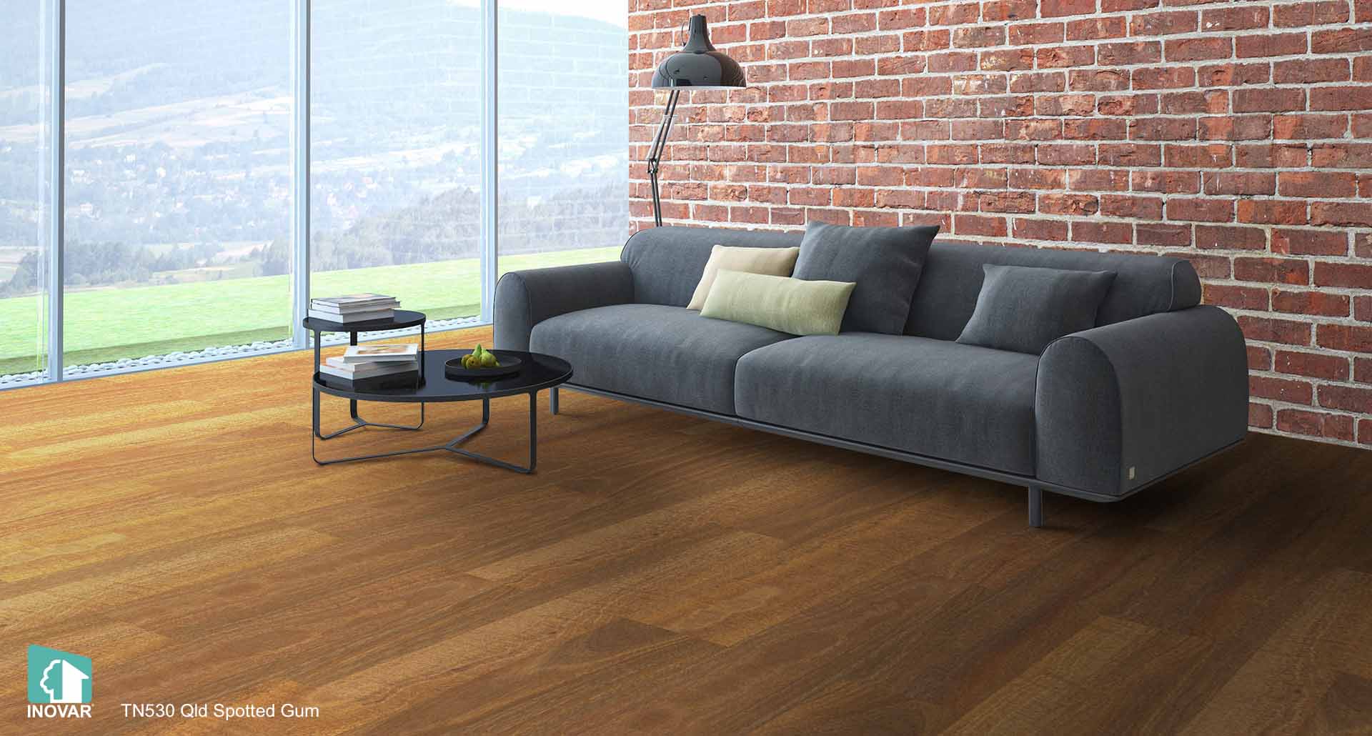 TN530 Qld Spotted Gum