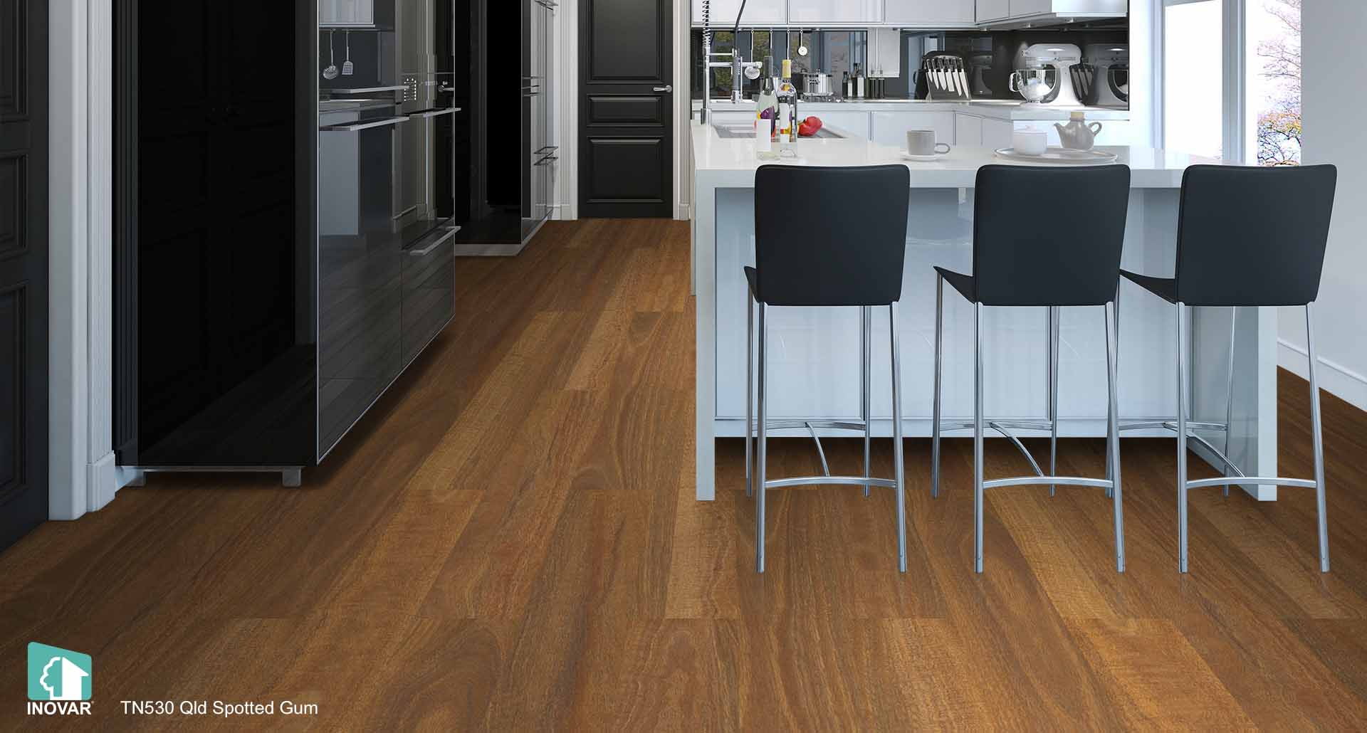 TN530 Qld Spotted Gum