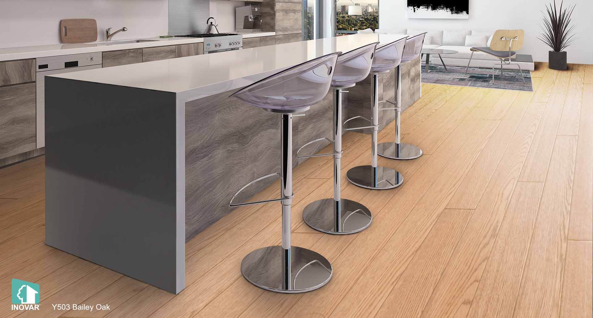 Y503 Bailey Oak