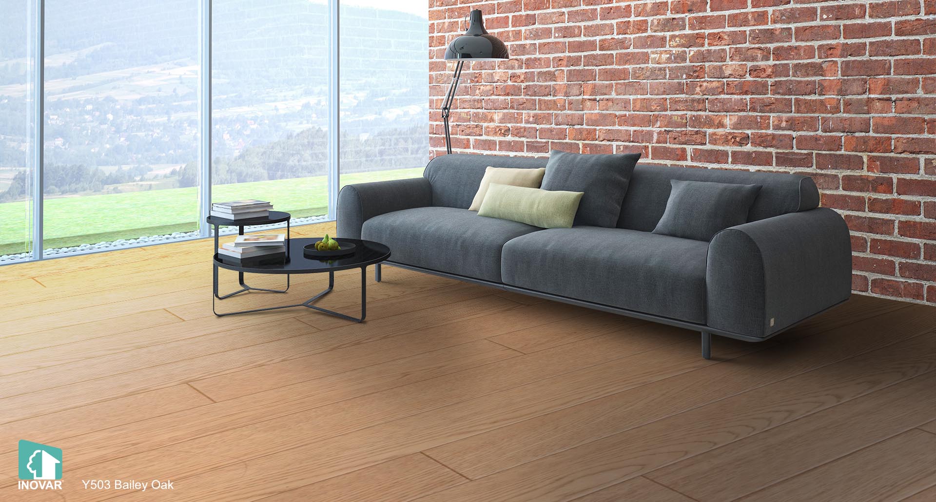 Y503 Bailey Oak