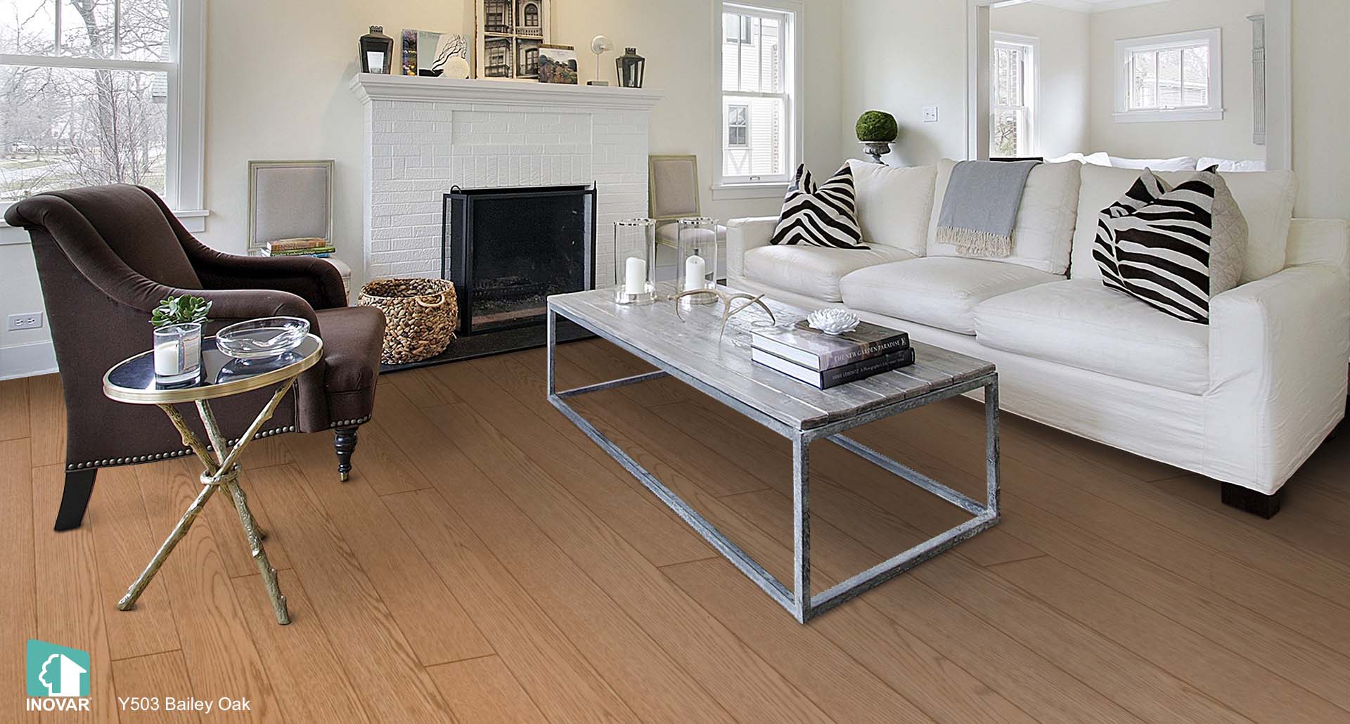 Y503 Bailey Oak