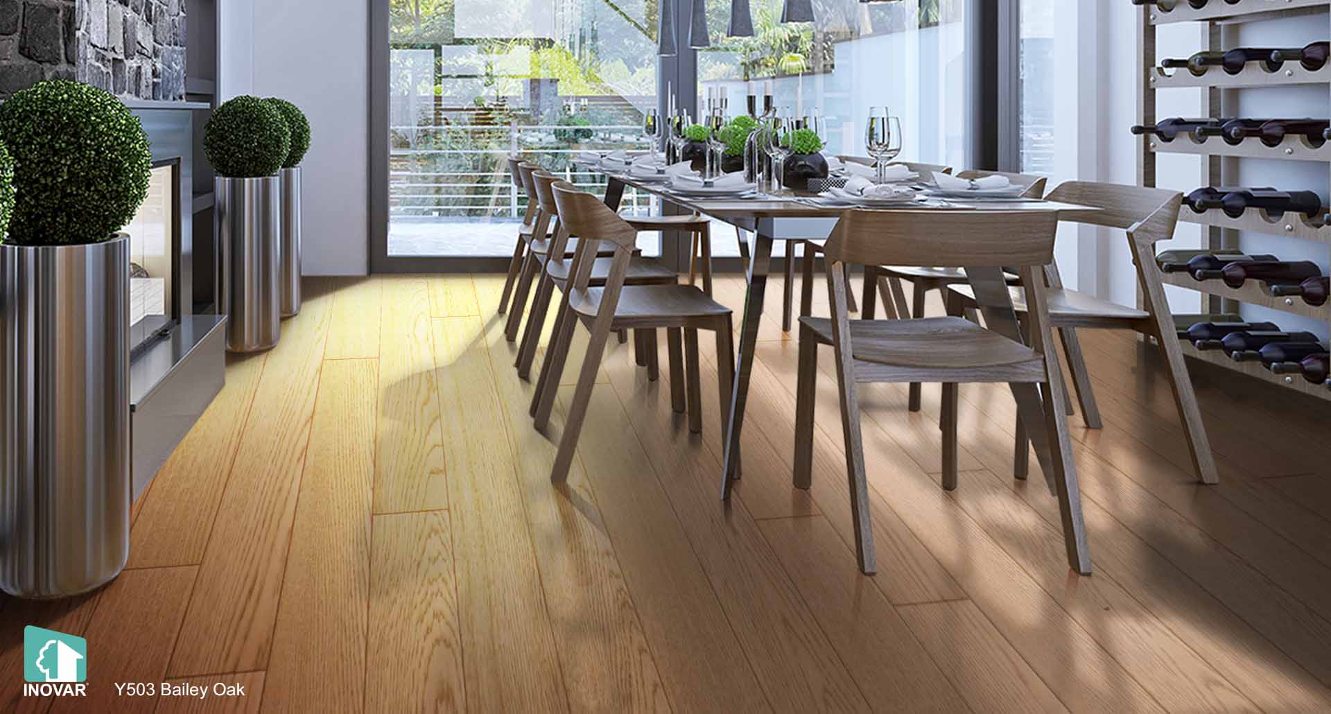 Y503 Bailey Oak