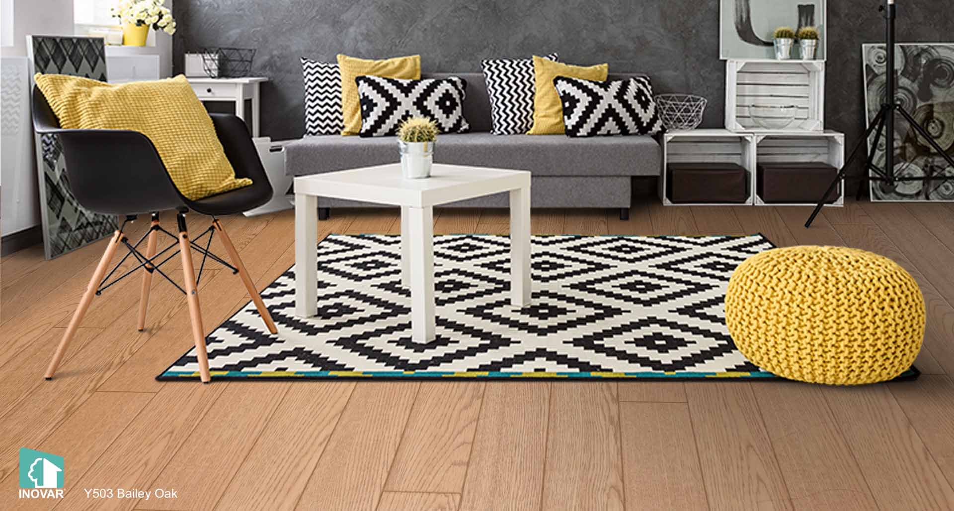 Y503 Bailey Oak