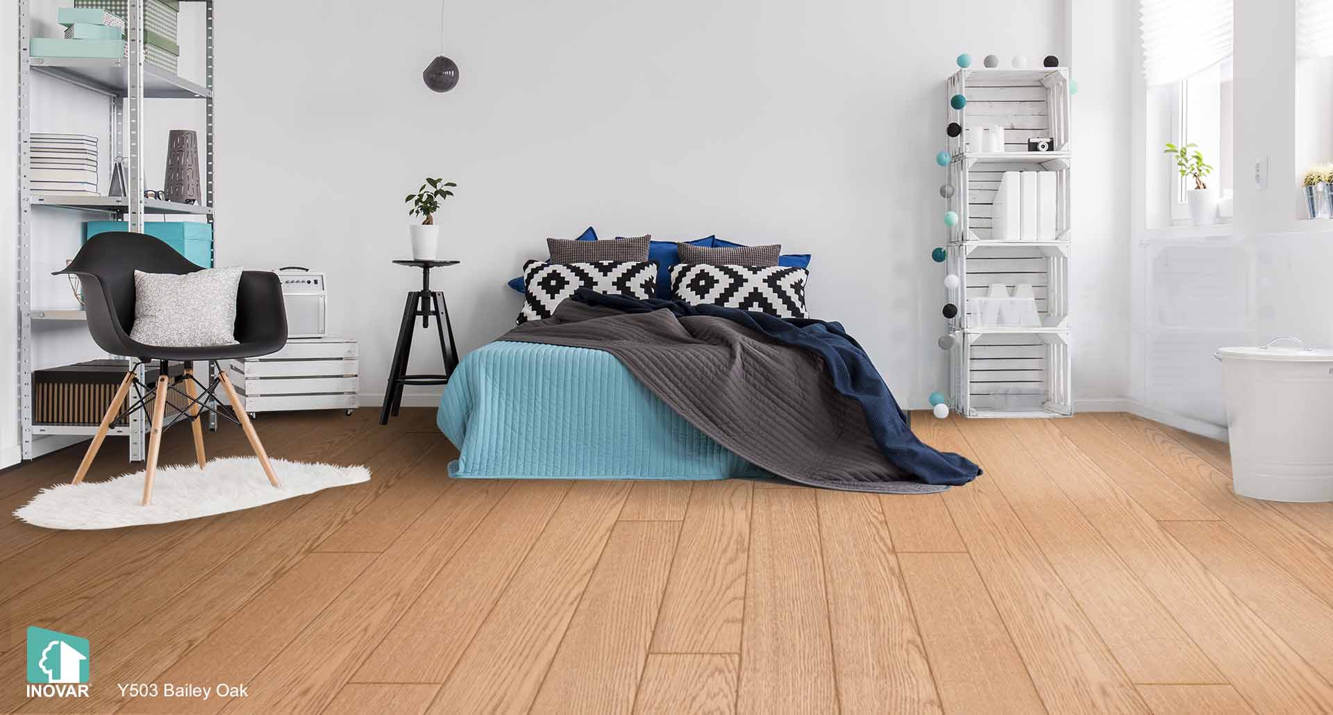 Y503 Bailey Oak