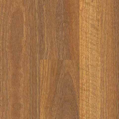 Qld Spotted Gum