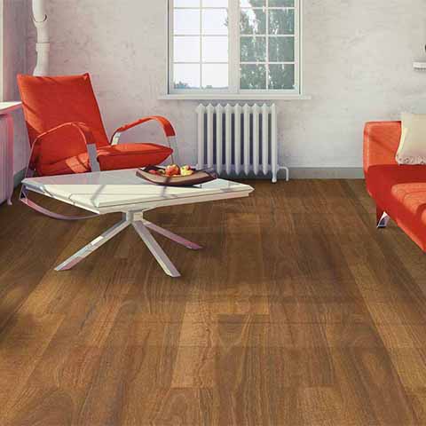 Qld Spotted Gum