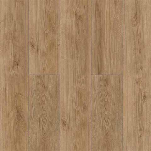 Oak Evoke Trend