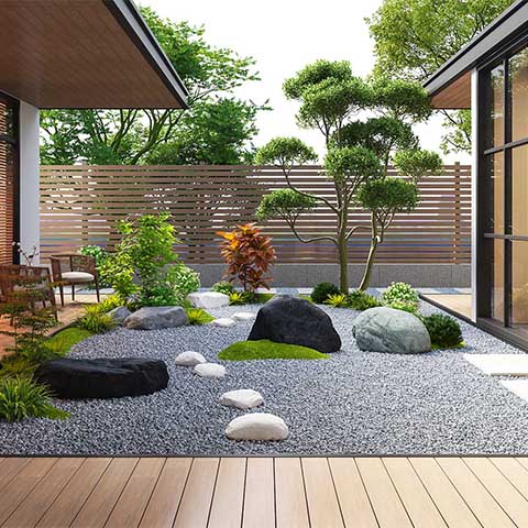 Golden Teak