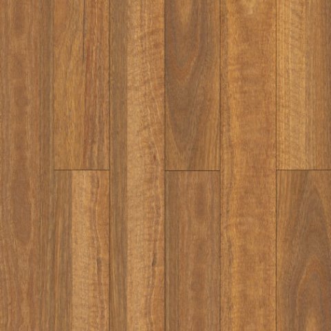 QLD Spotted Gum