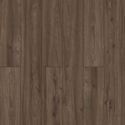 American Walnut